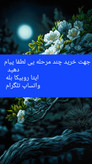کیف ساحلی رافیا مدل لوتوس